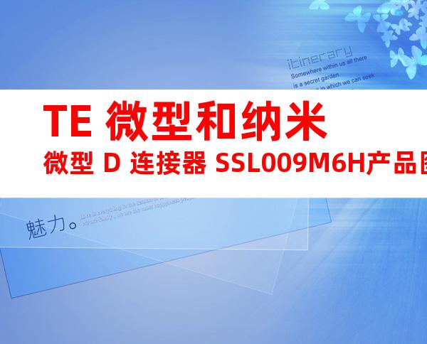 TE 微型和纳米微型 D 连接器 SSL009M6H产品图纸